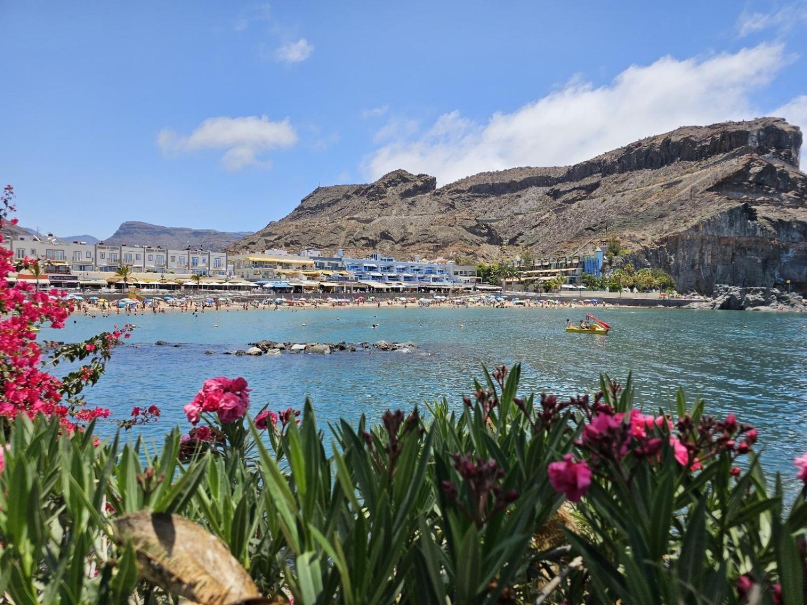 Teresita "La Fuente" - Puerto De Mogan Daire Dış mekan fotoğraf